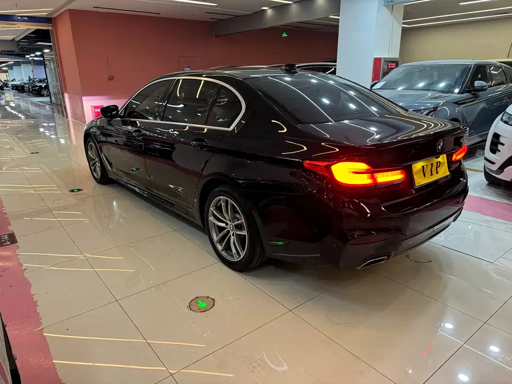 BMW 5 Series 2018 — фото 13
