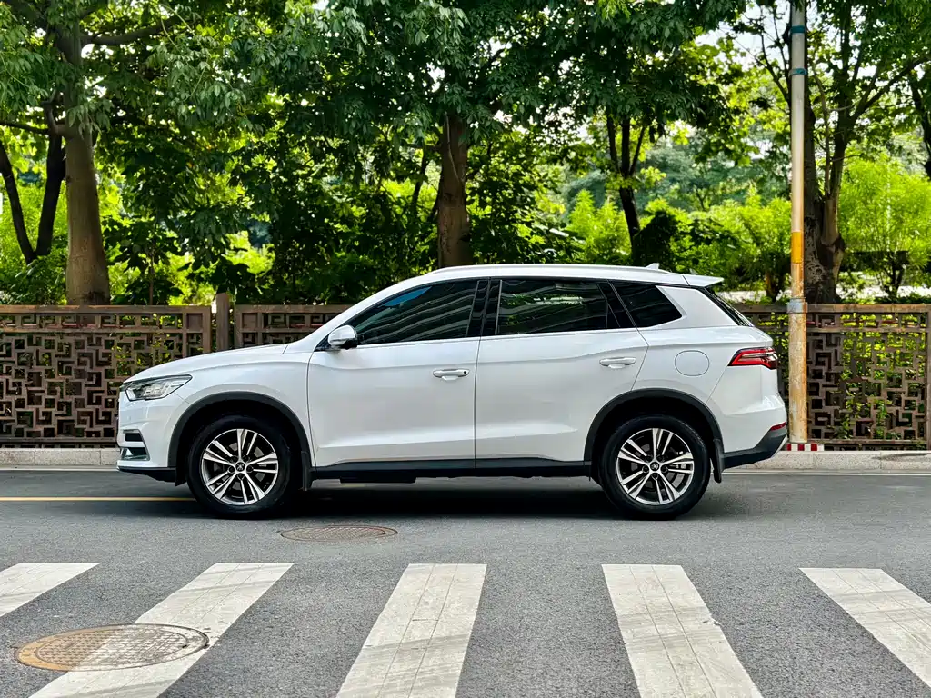 BYD Pro 2020 — фото 3