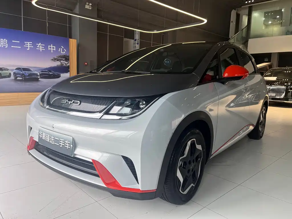 BYD Dolphin 2021