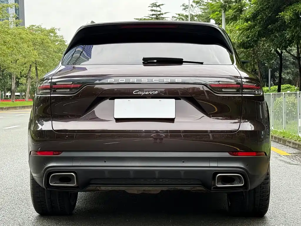 Porsche Cayenne 2020 — фото 19