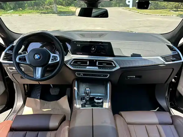 BMW X6 2021