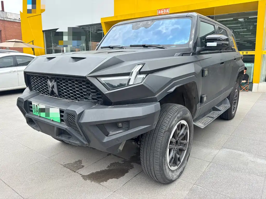 Mengshi 917 2025