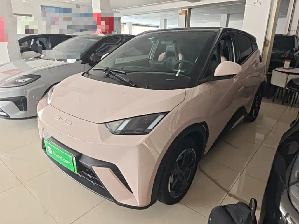 BYD Seagull 2024