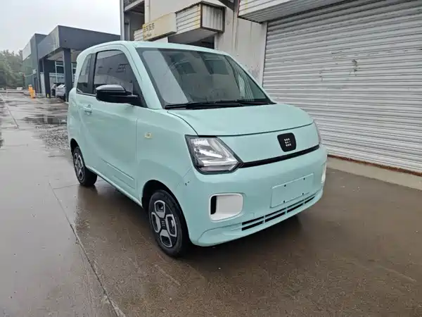 Dongfeng Scenery MINIEV 2024