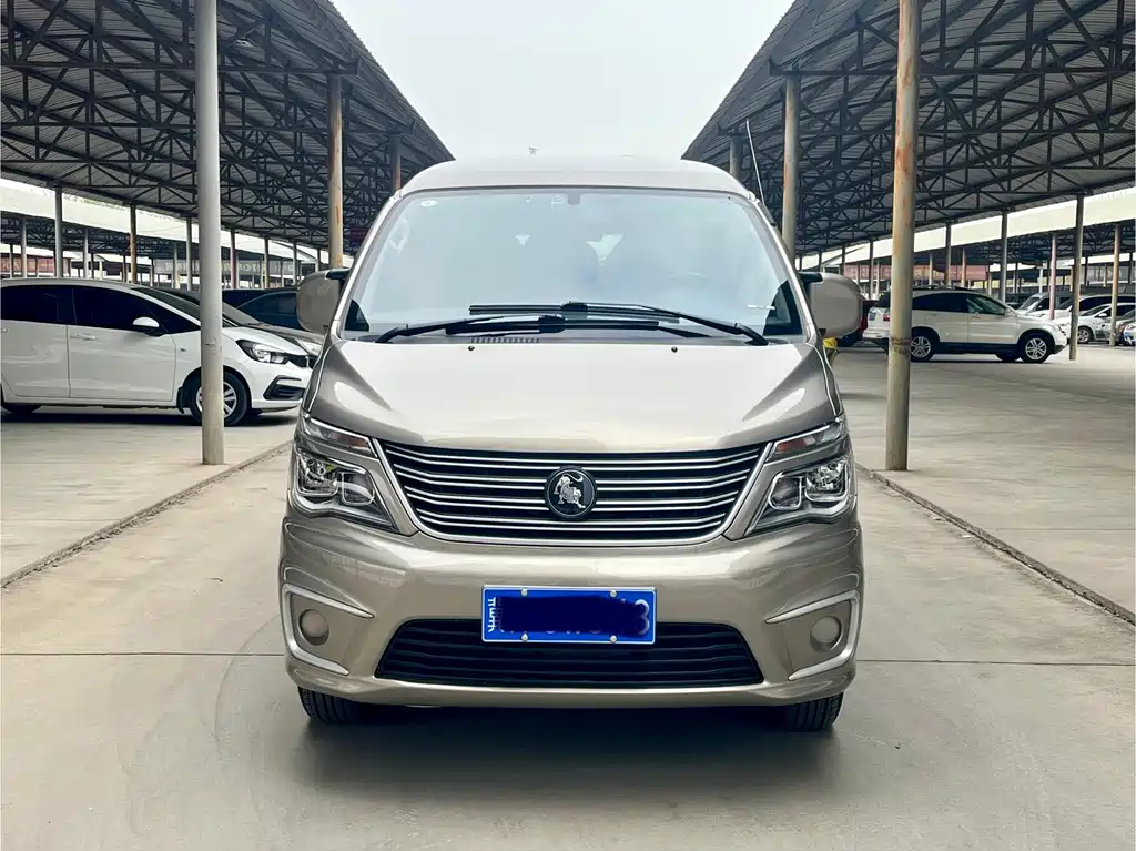 Fengxing Lingzhi 2023