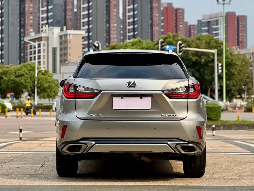Lexus RX 2018 — фото 10