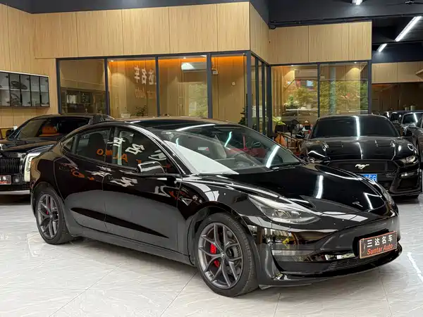 Tesla Model 3 2022