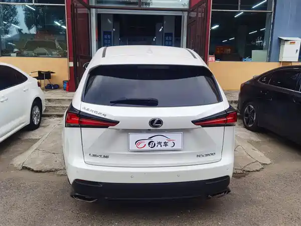 Lexus NX 2018