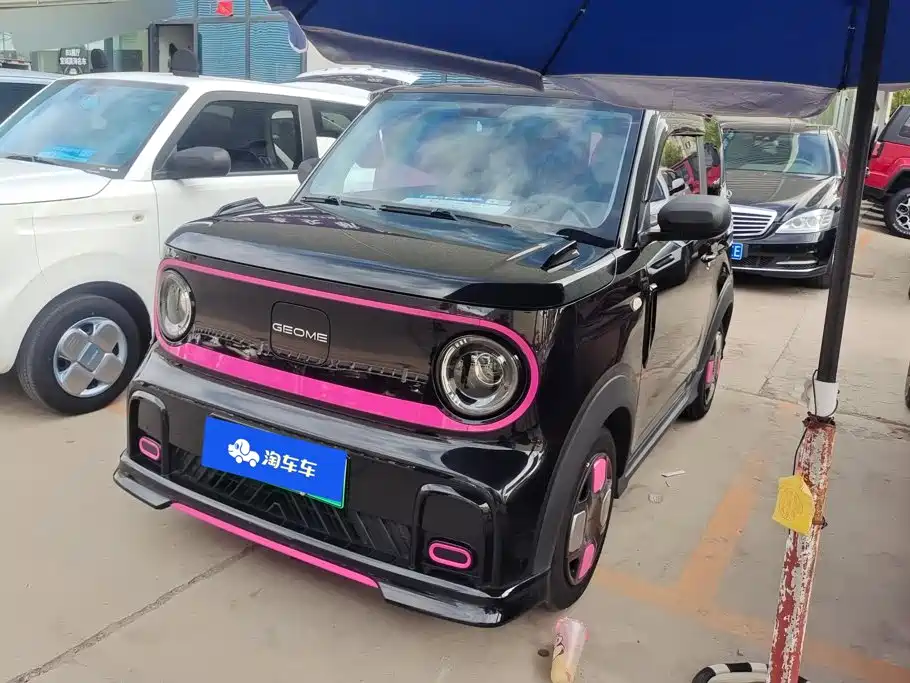 Geely Galaxy Panda 2024