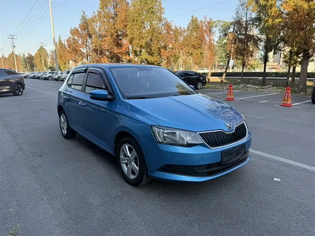 Skoda Fabia 2018 — фото 23
