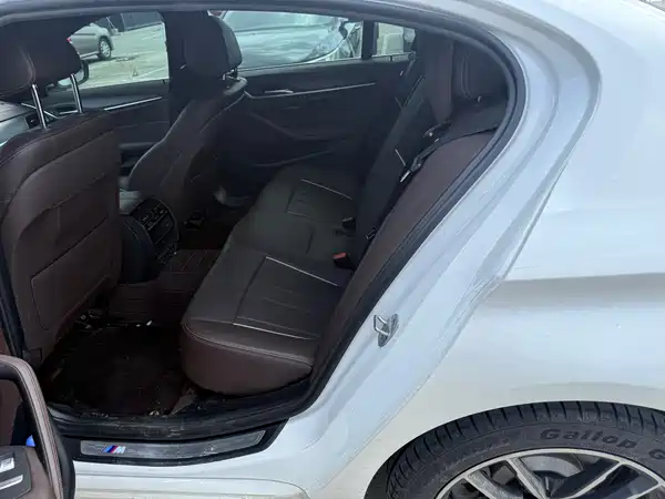 BMW 5 Series New Energy 2021