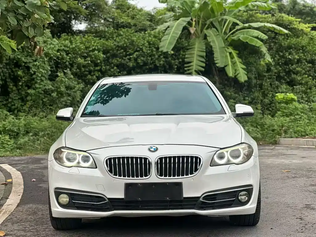 BMW 5 Series 2016 — фото 2