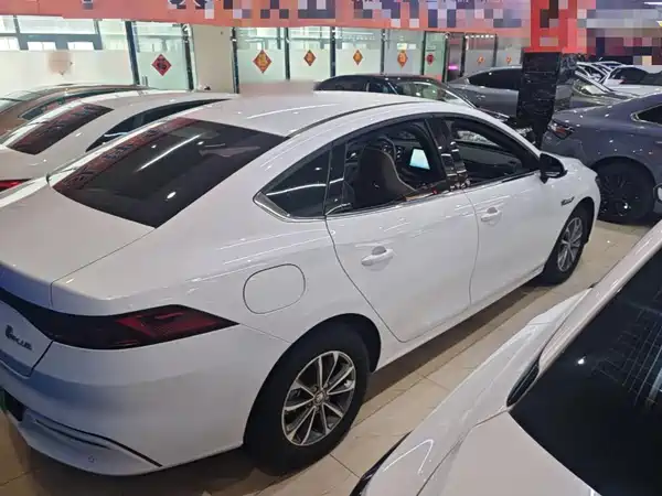 BYD Qin PLUS 2024