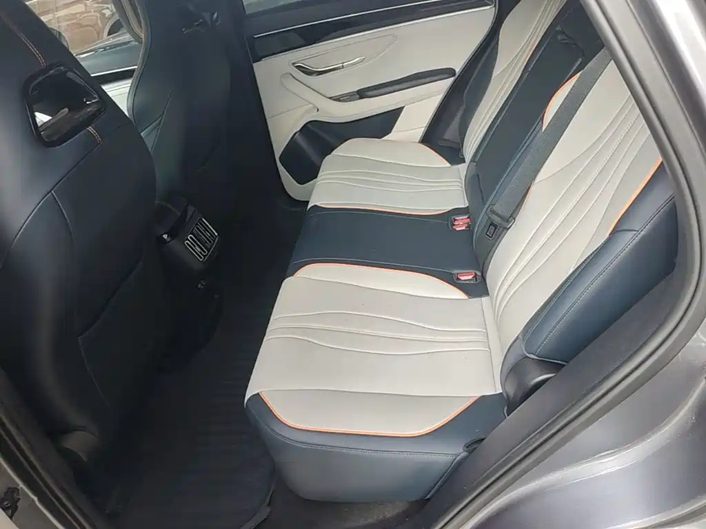 BYD Song PLUS New Energy 2024 — фото 17