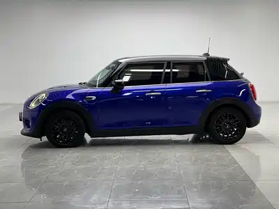 MINI MINI 2020