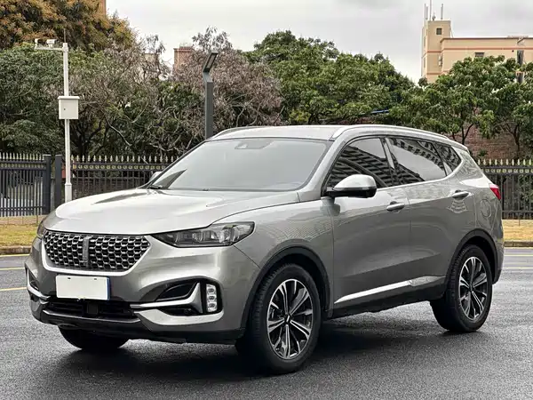Wey VV6 2021