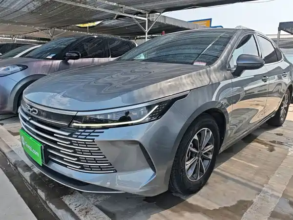 BYD Destroyer 05 2024
