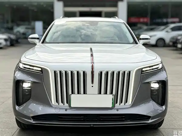 Hongqi E-HS9 2022