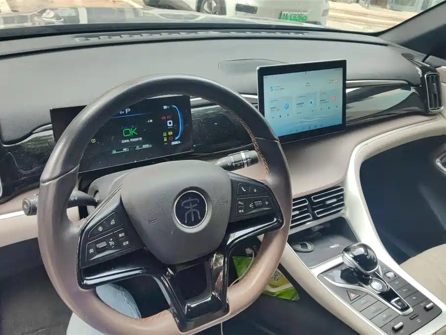 BYD Pro New Energy 2024 — фото 12