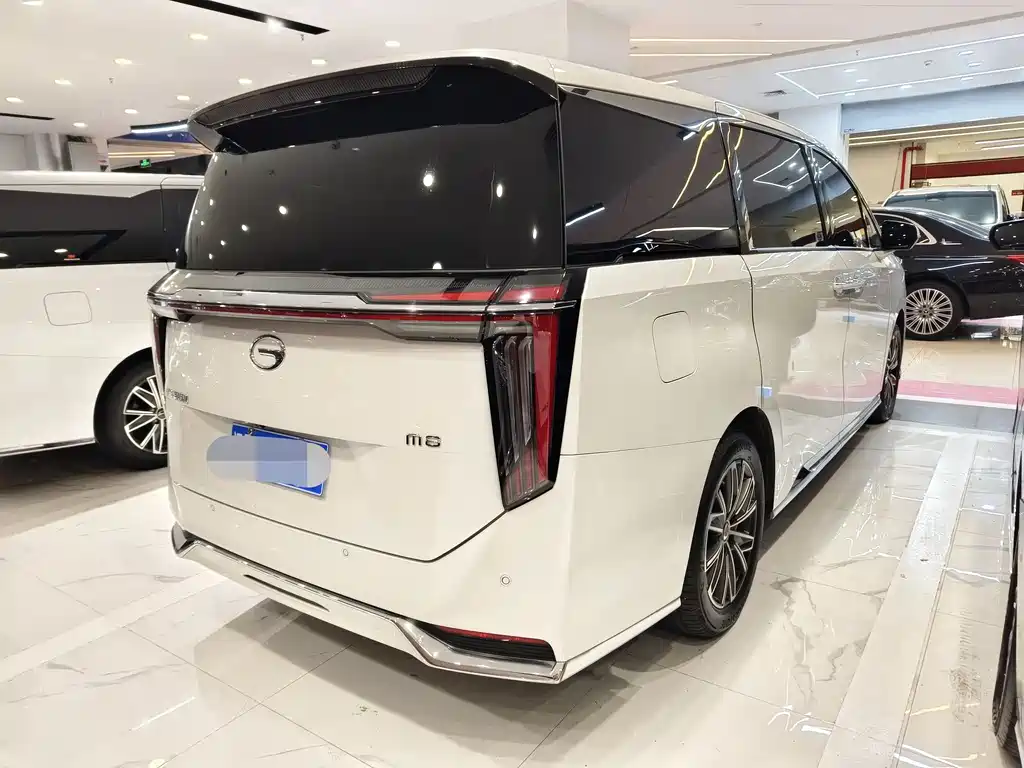 GAC Motor Trumpchi M8 2024 — фото 16