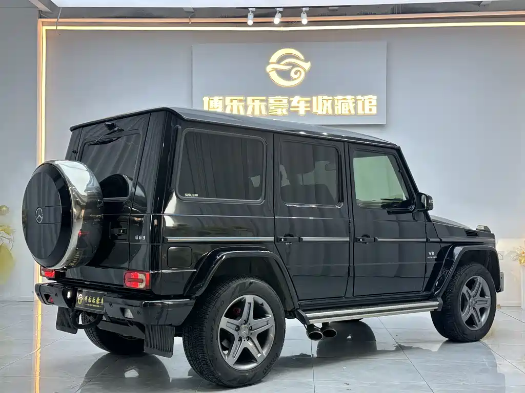 Mercedes-Benz G-Class 2017 — фото 17