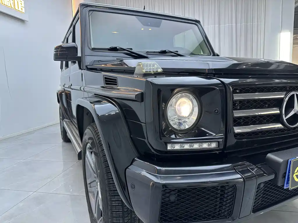 Mercedes-Benz G-Class 2017 — фото 14