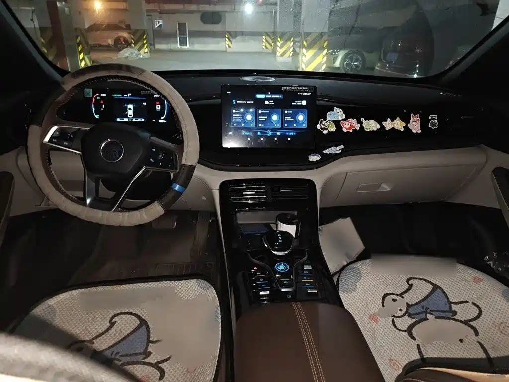 BYD Qin PLUS 2024 — фото 12