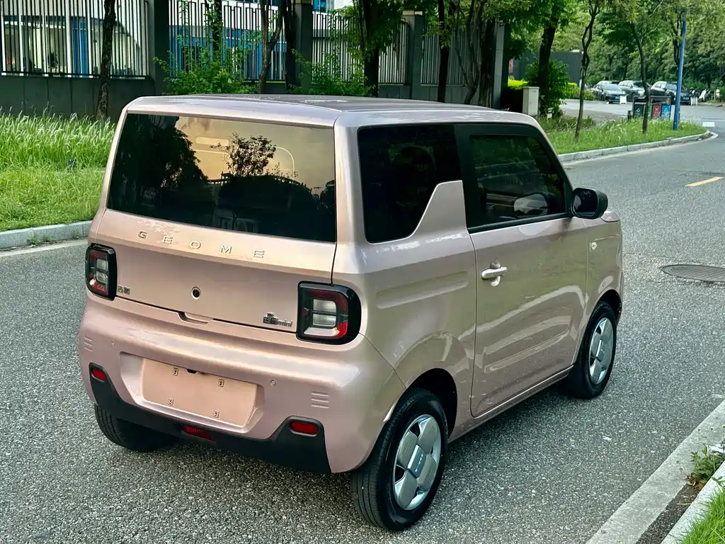 Geely Galaxy Panda 2023 — фото 6