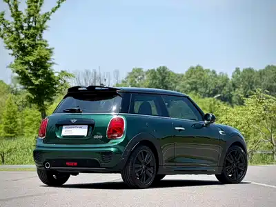 MINI MINI 2019
