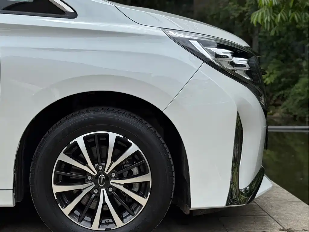 GAC Motor Trumpchi M8 2023 — фото 16