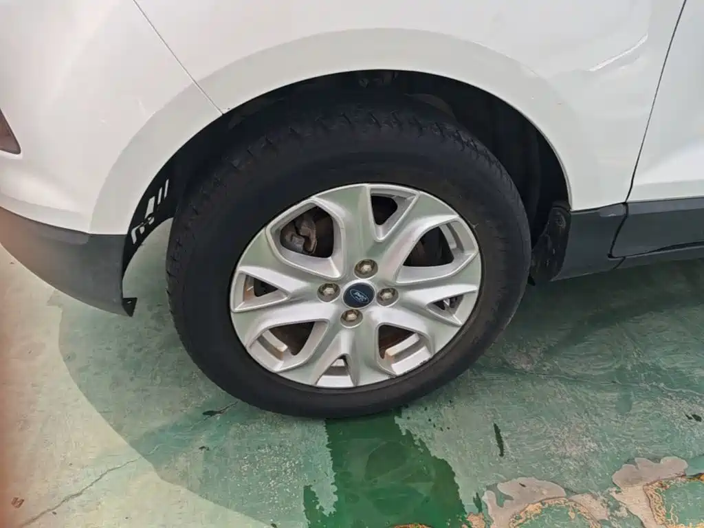 Ford EcoSport 2015 — фото 23