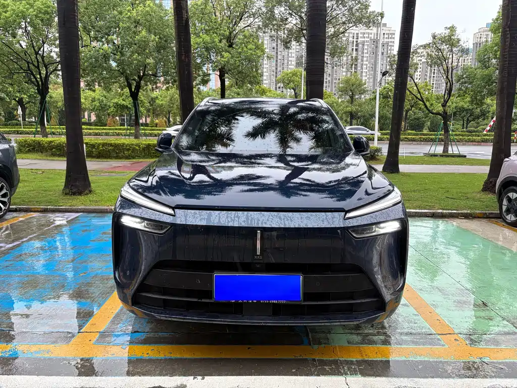 Wey Lanshan 2024