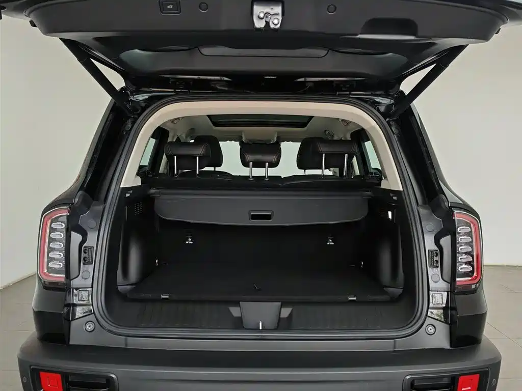 Haval Big Dog 2023 — фото 16