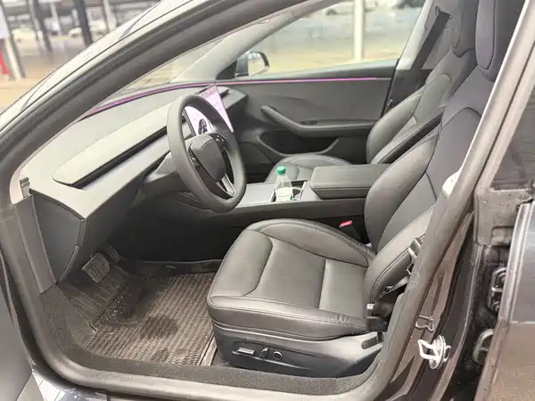 Tesla Model 3 2025