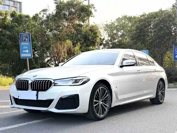 BMW 5 Series 2020