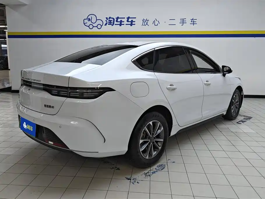 BYD Destroyer 05 2024 — фото 3