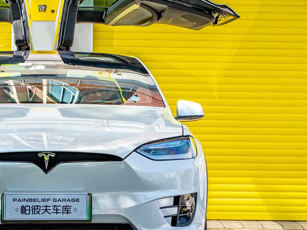 Tesla Model X 2019 — фото 6
