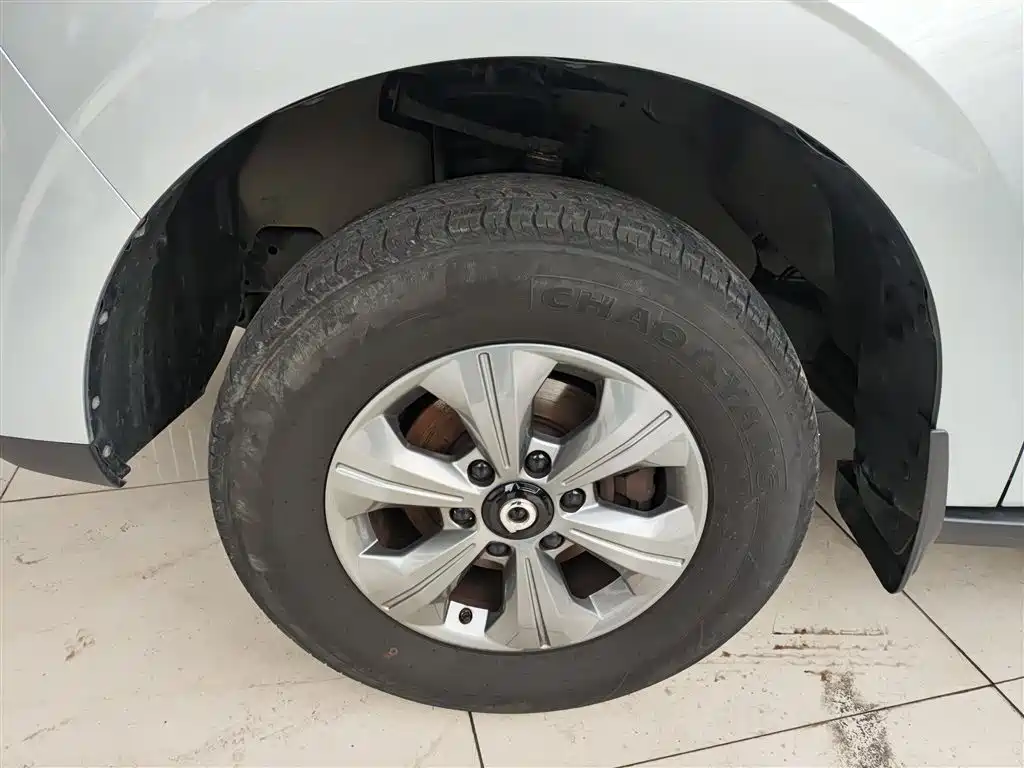 Great Wall Pao 2024 — фото 23