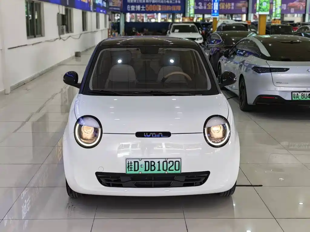 Qiyuan Lumin 2025