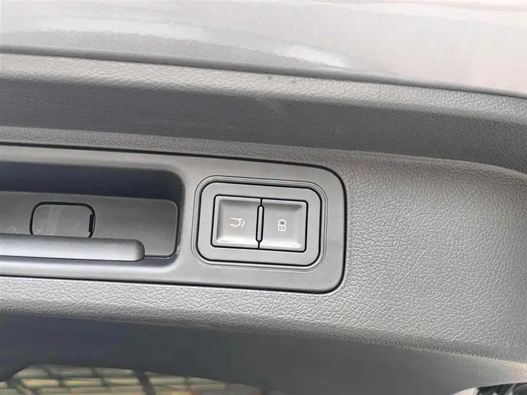 BYD PLUS New Energy 2024 — фото 20