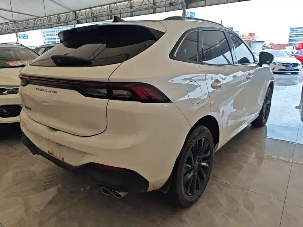 Dongfeng Fengxing T5 EVO 2021 — фото 5