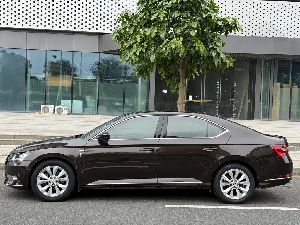 Skoda Speedy 2017