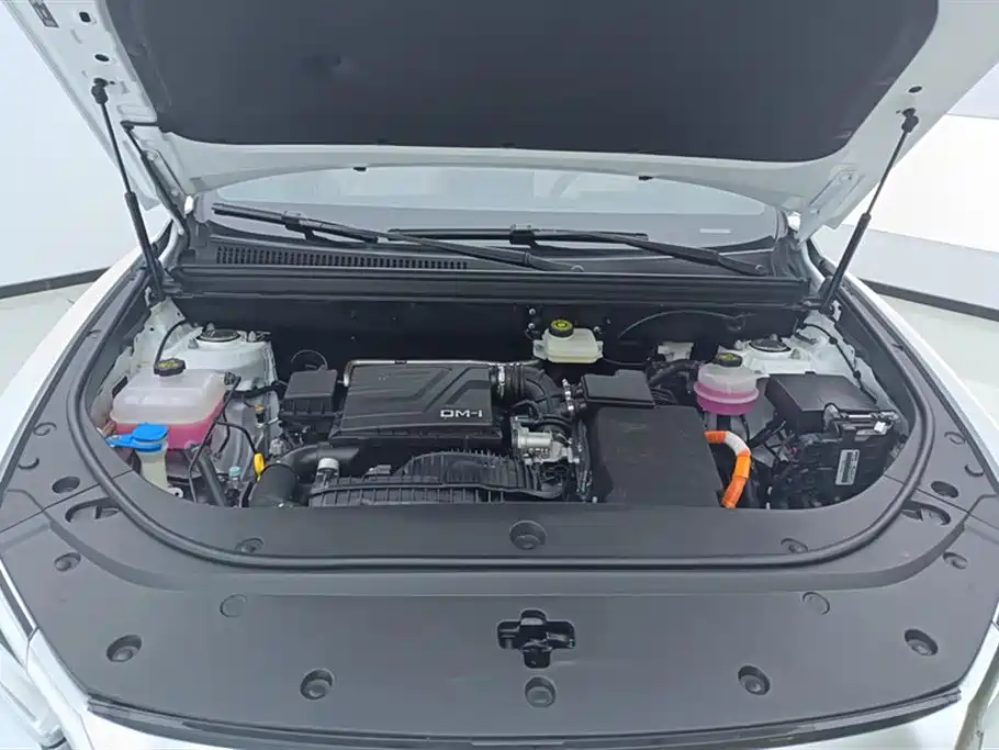 BYD Pro New Energy 2024 — фото 10