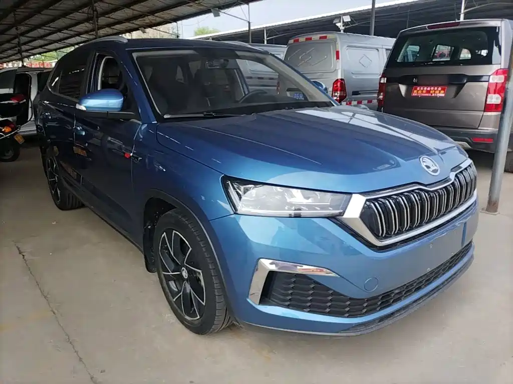 Skoda Kamiq 2020 — фото 4