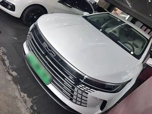 BYD Destroyer 05 2024