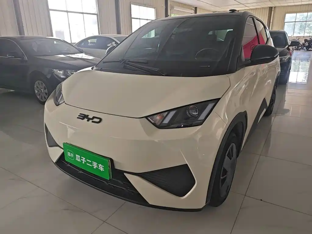 BYD Seagull 2025