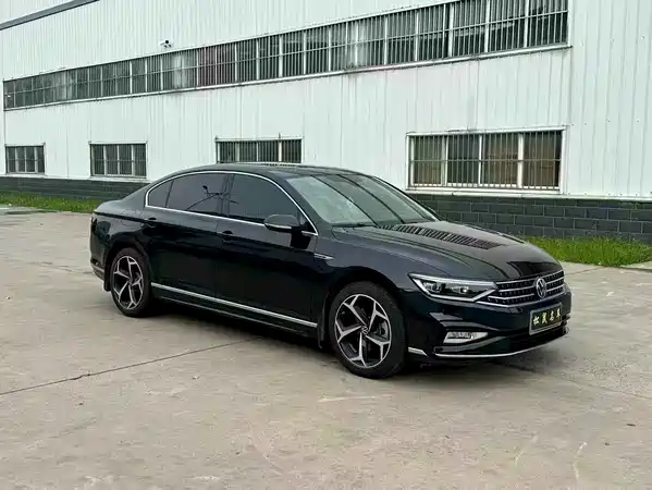Volkswagen Magotan 2024