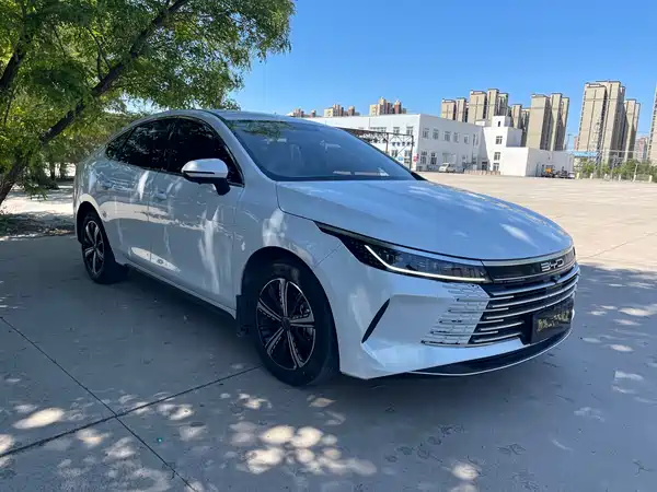 BYD Destroyer 05 2024