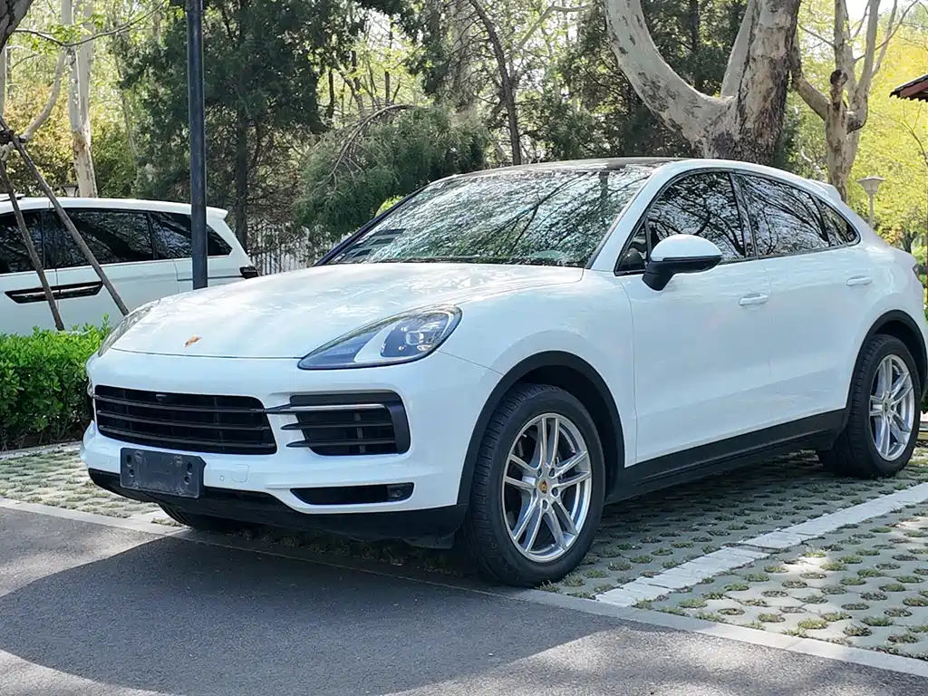 Porsche Cayenne 2021 — фото 1