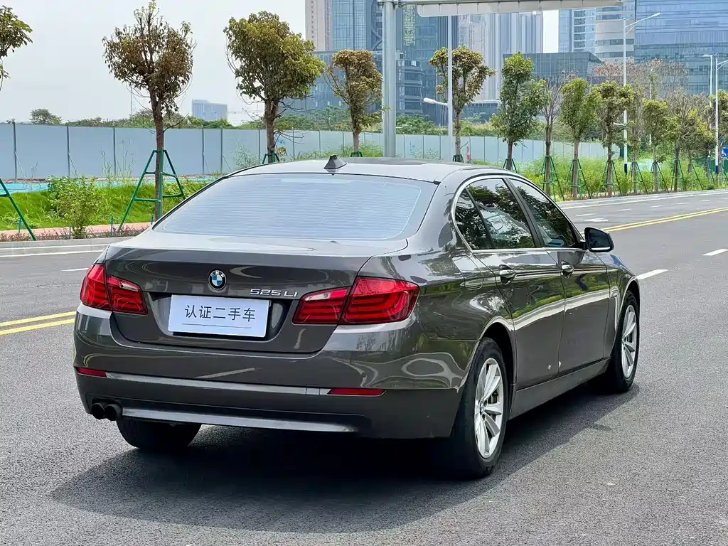 BMW 5 Series 2013 — фото 5